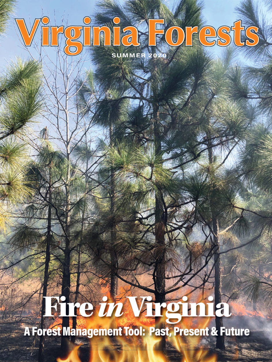 Virginia Forests Magazine